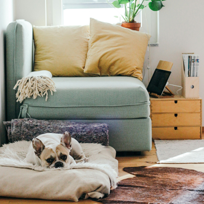 Zuhause - unsplah.com Brina Blum